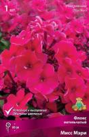 Флокс метельчатый Мисс Мэри (I) 1 шт