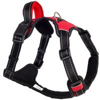 Шлейка нейлон L SPORT с ручкой красная обхв.груди 65-80см/01206580-02/Каскад Шлейка нейлон L SPORT с ручкой красная обхв.груди 65-80см/01206580-02/Каскад