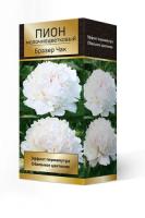 Пион молочноцветковый Бразер Чак (1шт,2-3) 843021