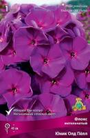 Флокс метельчатый Юник Олд Пепл (I) 1 шт 