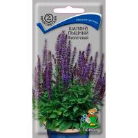 Шалфей (дубравный) пышный Фиолетовый 0,1г