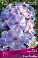 Флокс метельчатый Юник Олд Блу (I) 1 шт