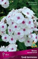 Флокс метельчатый Граф Цеппелин (I) 1 шт