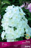 Флокс метельчатый Давид (I) 1 шт