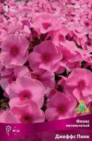 Флокс метельчатый Джеффс Пинк (I) 1 шт 