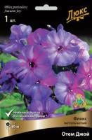 Флокс метельчатый Отем Джой (I) 1 шт 