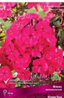 Флокс метельчатый Юник Ред (I) 1 шт 