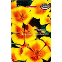 Эшшольция Кимоно императора 20*0,5 