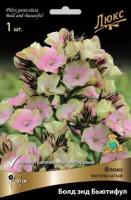 Флокс метельчатый Болд энд Бьютифул (I) 1 шт 