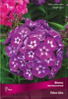 Флокс метельчатый Пёпл Айз (I) 1 шт 