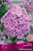 Флокс метельчатый Рейнбоу Дансер (I) 1 шт 