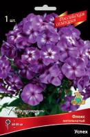 Флокс метельчатый Успех (I) 1 шт
