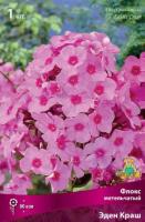 Флокс метельчатый Эден Краш (I) 1 шт