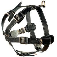 Шлейка кожа 35мм с треугольником двойная шея 72-92см грудь 95-105см/01001011/Каскад Шлейка кожа 35мм с треугольником двойная шея 72-92см грудь 95-105см/01001011/Каскад