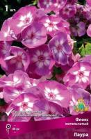 Флокс метельчатый Лаура (I) 1 шт