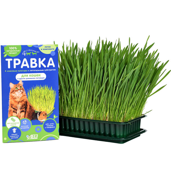 Травка д/кошек и др. питомцев 4 с хвостиком (лоток)/AB1754/ Травка д/кошек и др. питомцев 4 с хвостиком (лоток)/AB1754/