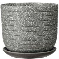 Пряности серый бук №2 1,6л