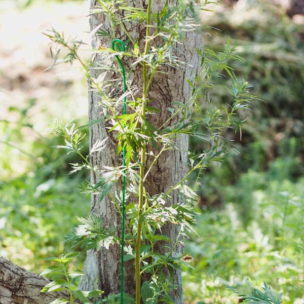 Колышек проволочный 70см комплект 10шт 