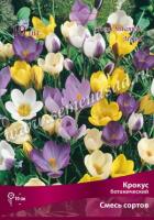 Крокус Ботанический смесь (5/+) 10шт.