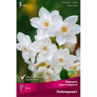Нарцисс Тацеттовидный Пейпервайт ( 5шт, 13/15) 839502