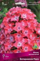 Флокс метельчатый Вотермелон Панч (I) 1 шт 