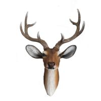 Голова оленя (акрил) 718349/F860 Голова оленя (акрил) 718349/F860