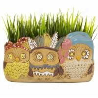 Кашпо Совята кашпо милое (тройняшки) 2,2л Кашпо Совята кашпо милое (тройняшки) 2,2л