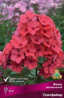 Флокс метельчатый Спитфайр