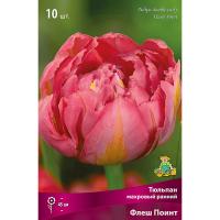 Тюльпан Махровый ранний Флеш Поинт (ярко-красный, 7шт, 11/12) 833159 Тюльпан Махровый ранний Флеш Поинт (ярко-красный, 7шт, 11/12) 833159
