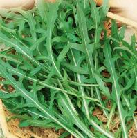 Двурядник тонколистный (индау, рукола) Покер 1г НК Двурядник тонколистный (индау, рукола) Покер 1г НК