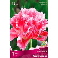 Тюльпан Бахромчатый Криспион Лав (розовый, махровый, 7шт, 11/12) 833112 Тюльпан Бахромчатый Криспион Лав (розовый, махровый, 7шт, 11/12) 833112