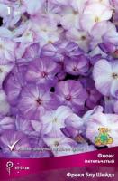 Флокс метельчатый Фрекл Блу Шейдз (I) 1 шт