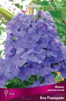 Флокс метельчатый Блу Парадайс (I) 1 шт