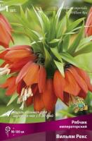 Рябчик Императорский Вильям Рекс (18/20) 839651