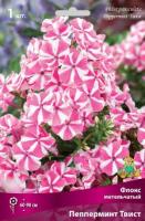 Флокс метельчатый Пепперминт Твист (I) 1 шт