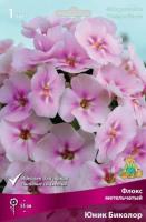 Флокс метельчатый Юник Биколор (I) 1 шт