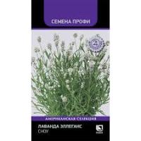 Лаванда Эллеганс сноу 10шт 