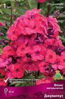 Флокс метельчатый Джулиглут (I) 1 шт