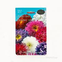 Астра смесь Срезочных сортов Сказка 20*1,5