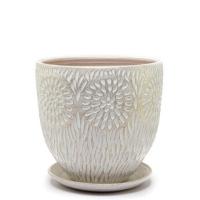 Астра бутон бел/жемч 4л/575633