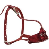 Намордник кожа цельнокроеный Шпиц/04014012/Каскад Намордник кожа цельнокроеный Шпиц/04014012/Каскад