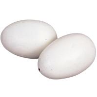 Инструмент Яйцо гусиное муляж 10шт/Китай Инструмент Яйцо гусиное муляж 10шт/Китай