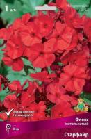 Флокс метельчатый Старфайр (I) 1 шт