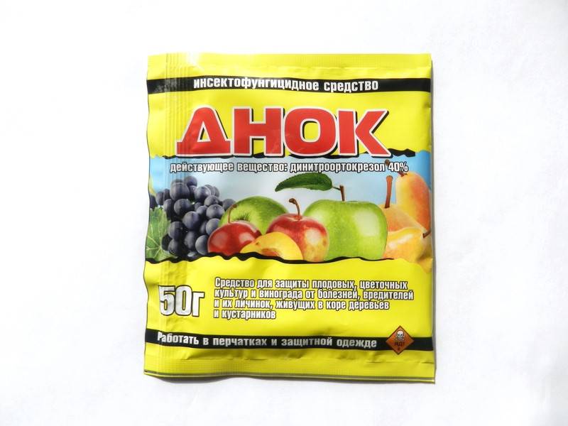 парша яблони