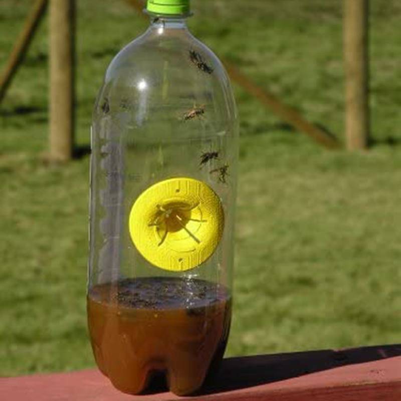 ловушка от ос