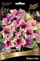 Флокс метельчатый Майкс Чойс