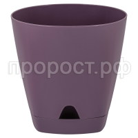 амстердам мор сл