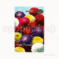 Астра смесь Помпонная Палитра 200,5 Каприс Астра смесь Помпонная Палитра 200,5 Каприс