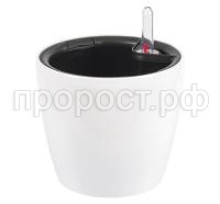 3230 бел 3230 бел