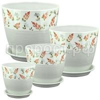 брусника брусника